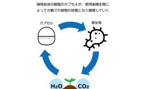 街ガチャin船橋_第2弾