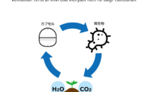 Gacha Lokal di Funabashi _ ver. 2