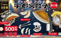 宇都宮餃子_第3弾