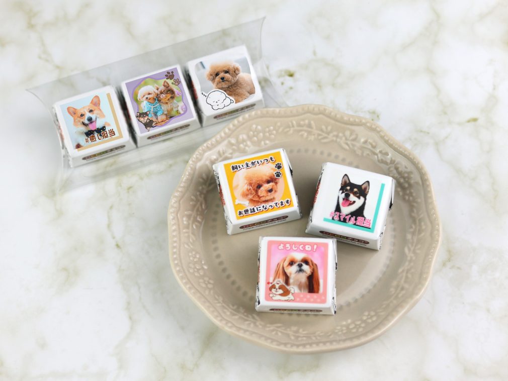 DECOチョコ_犬の日３