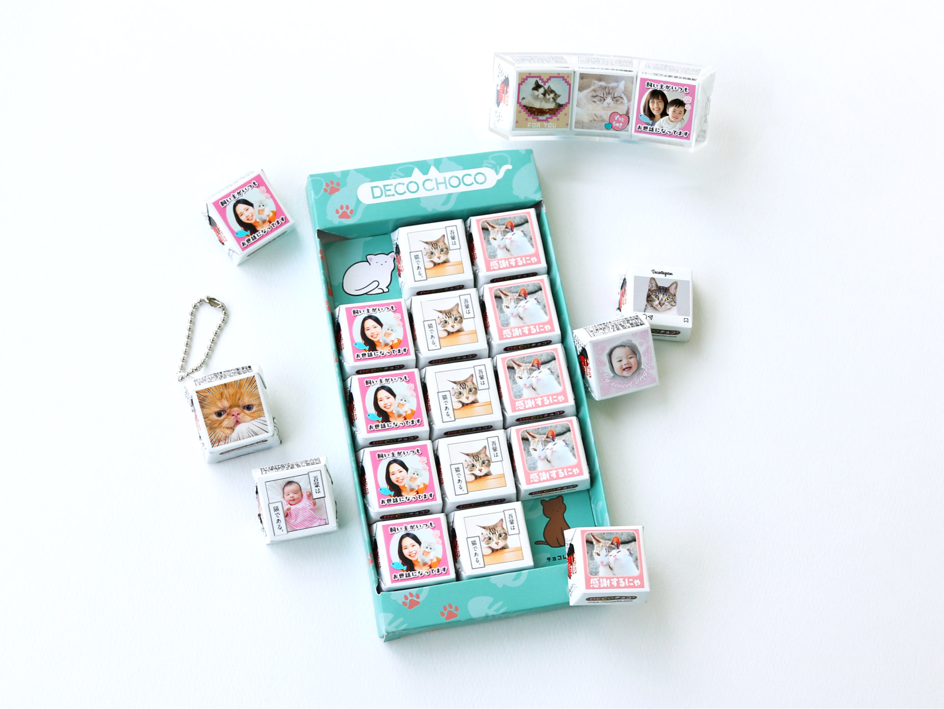 猫の日（2月22日）に向けて「DECOチョコ猫フェス」を開催